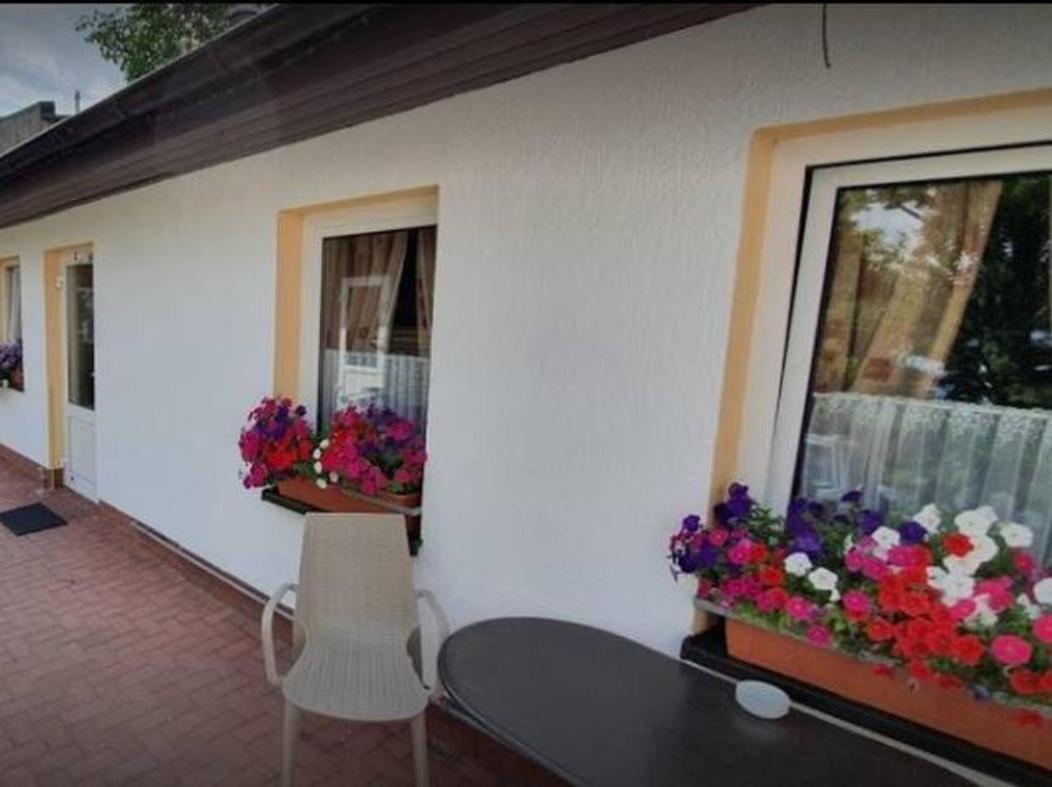 Schoene Geraeumige Ferienwohnung Am Park Heringsdorf  Exterior photo